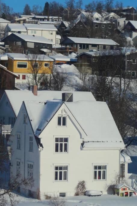 New Magnificent View Apartment Near The Centre Tromso Ngoại thất bức ảnh